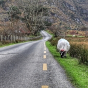Путешествие по Ирландии на автомобиле